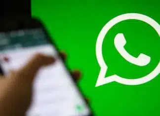 Gérer et récupérer des messages depuis la corbeille WhatsApp